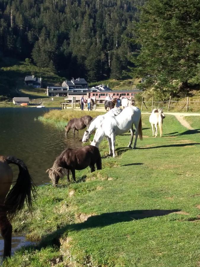 Gite Cosy Lac De Payolle Campan Bagian luar foto