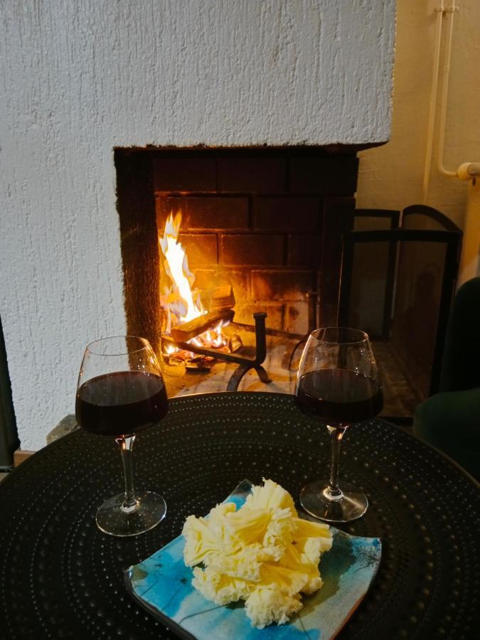 Gite Cosy Lac De Payolle Campan Bagian luar foto