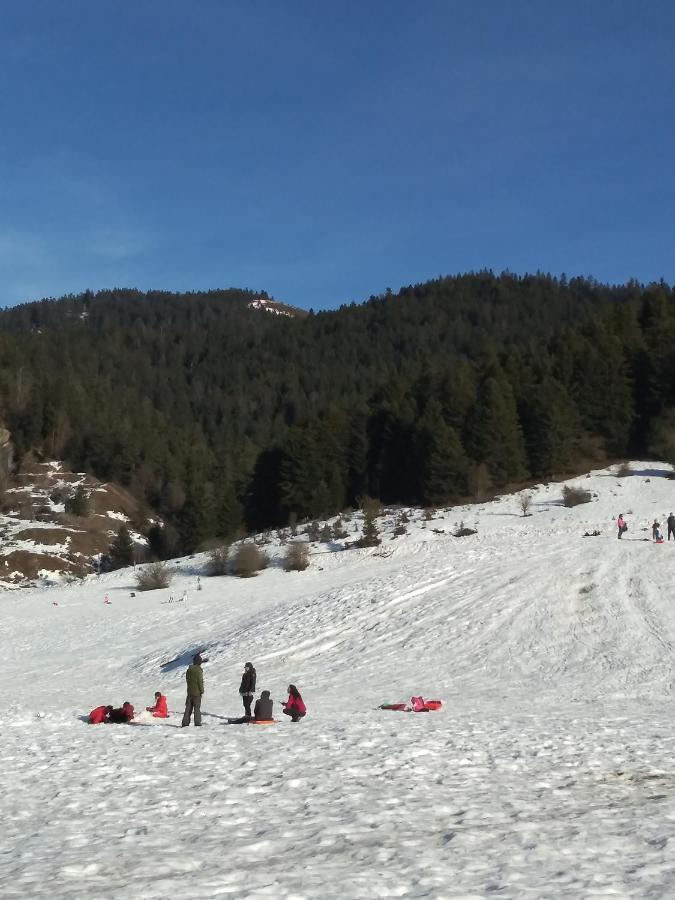 Gite Cosy Lac De Payolle Campan Bagian luar foto