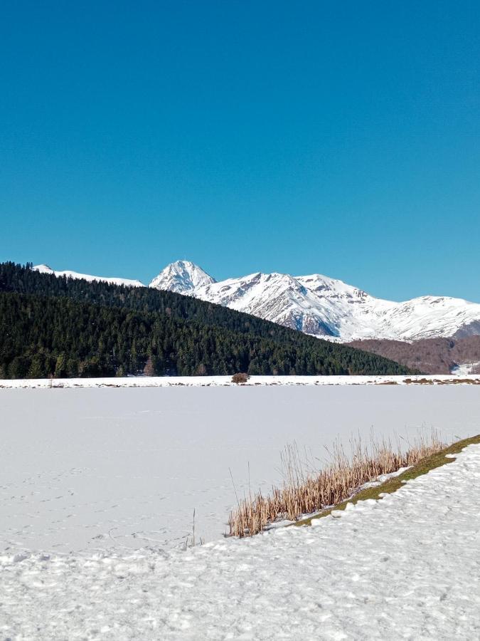 Gite Cosy Lac De Payolle Campan Bagian luar foto