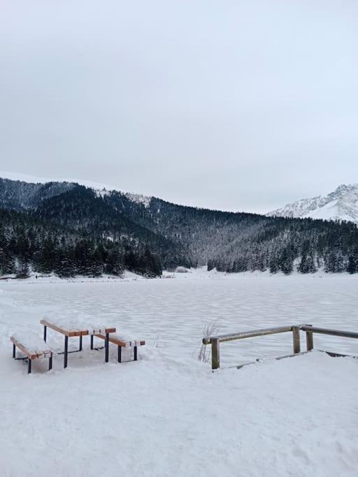 Gite Cosy Lac De Payolle Campan Bagian luar foto