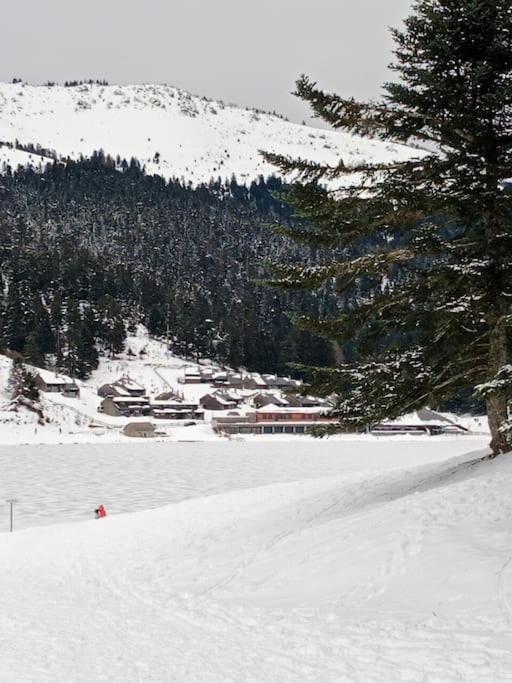 Gite Cosy Lac De Payolle Campan Bagian luar foto