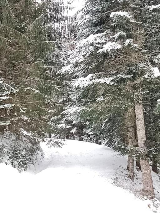 Gite Cosy Lac De Payolle Campan Bagian luar foto
